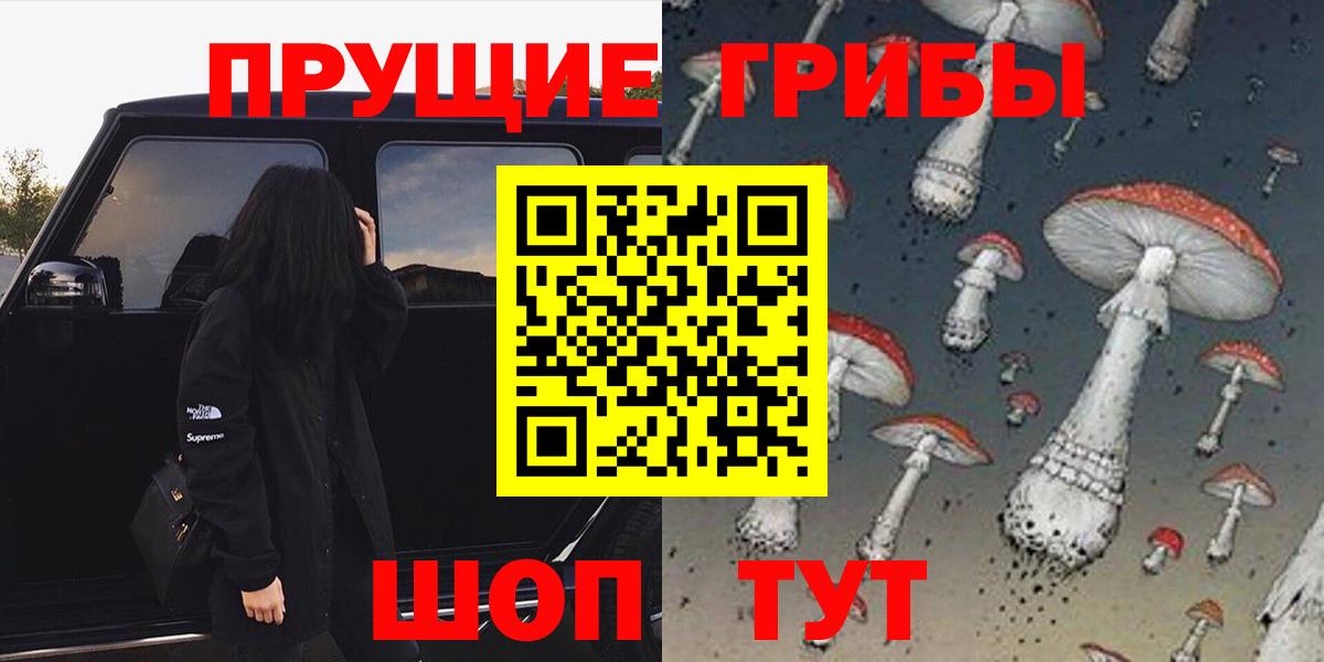 Воткинск  Псилоцибиновые грибы Psilocybe  что такое   Вход с VPN 
